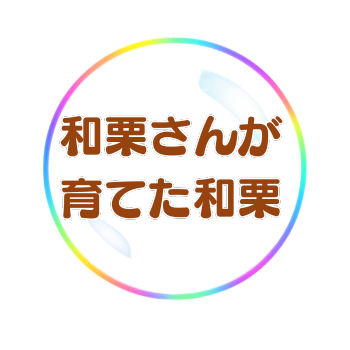 和栗さんが育てた和栗