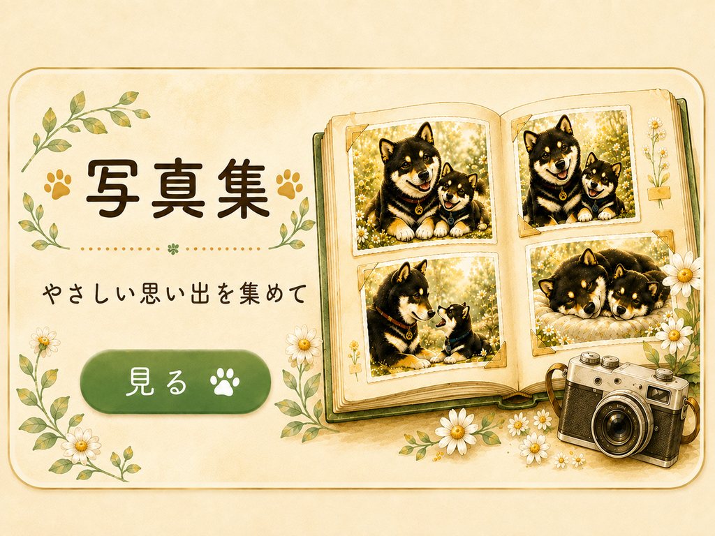 絵本と写真集